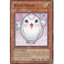 White Potan