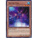 Tripod Fish