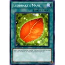Leodrake's Mane