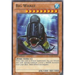 Big Whale - ESP