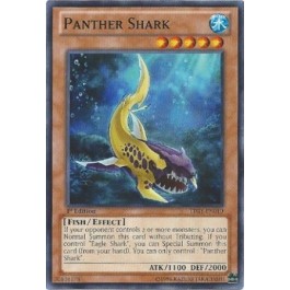 Panther Shark