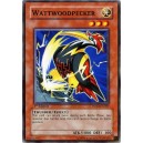 Wattwoodpecker