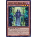 Secret Sect Druid Dru
