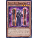 Secret Sect Druid Wid