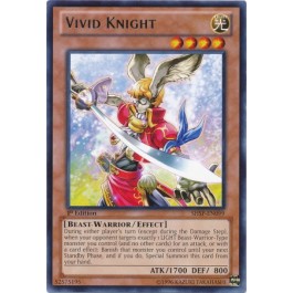 Vivid Knight - ESP