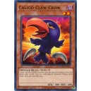 Caligo Claw Crow